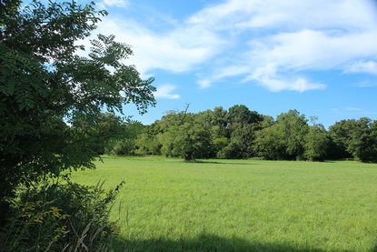 Tamara trackt Wiese Kern